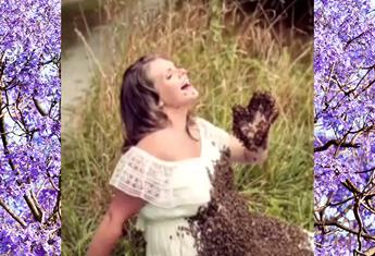 Mum who posed with 20,000 bees in maternity shoot tragically suffers a stillbirth