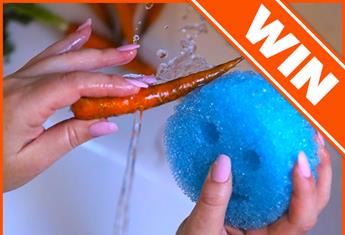 WIN A YEAR’S SUPPLY OF SCRUB DADDY PRODUCTS!