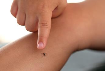 Mosquito-proofing your home this summer