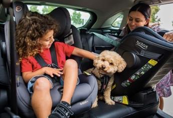 Clicktight: The clever car seat system that allows for safe and secure installation every time