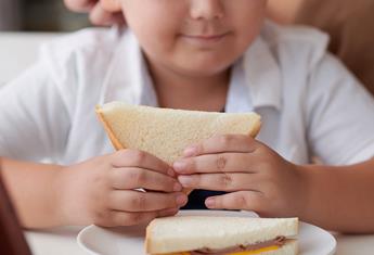 Why is the humble ham sandwich getting such a bad rap and should we stop sending them to school?
